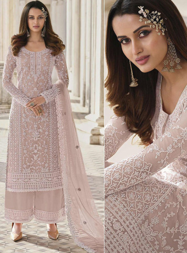 Beige Embroidered Netted Pakistani Suit